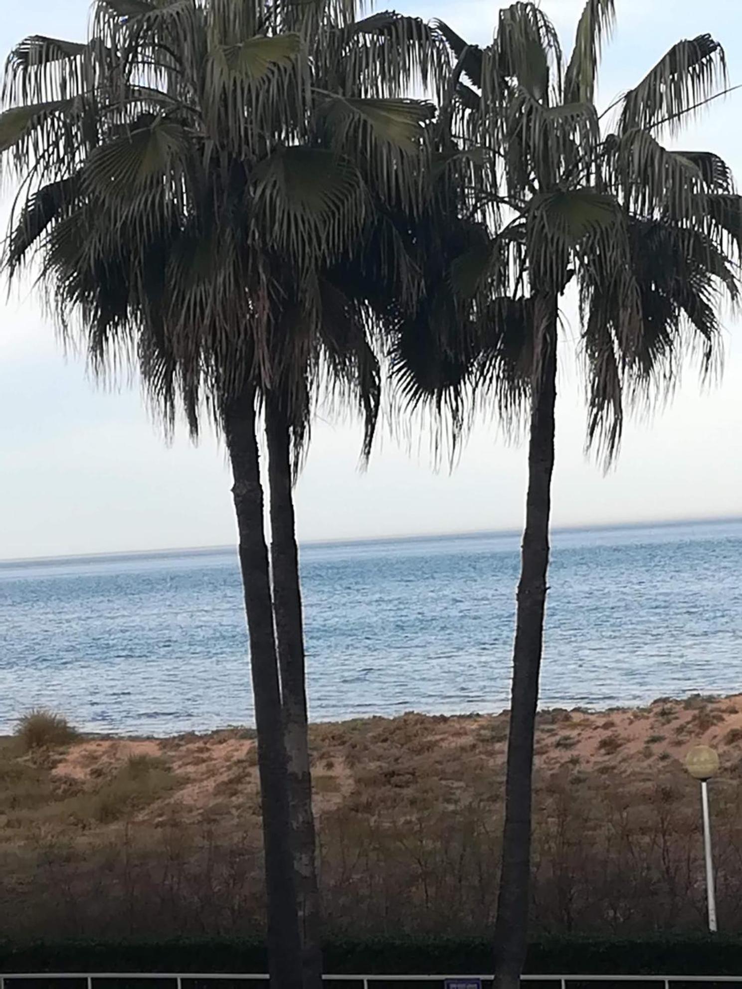 Gandia Daimuzアパートメント エクステリア 写真